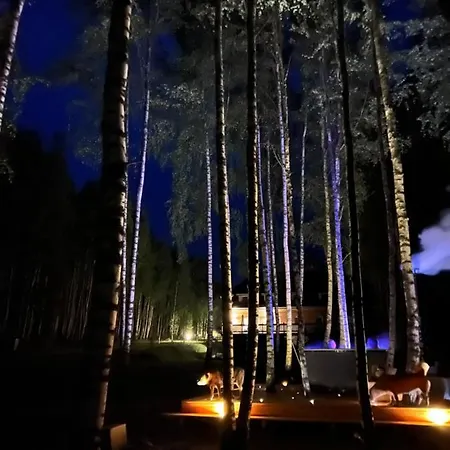 Przystan Piecek Stręgielek